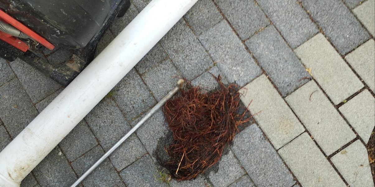 Aus einer Grundleitung entfernter Wurzelballen liegt neben Reinigungsger&auml;t auf Pflastersteinen