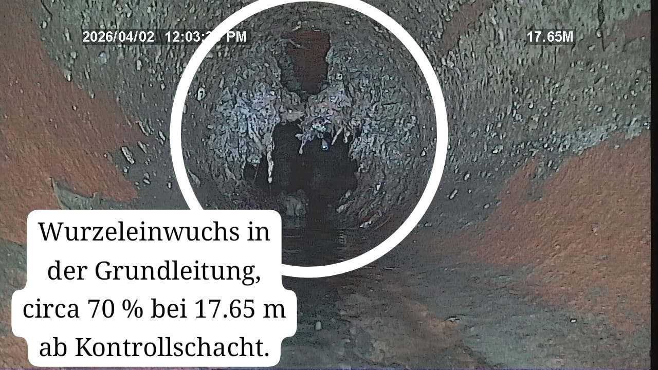 Kamerabild aus einer Grundleitung mit Wurzeleinwuchs, der den Querschnitt zu etwa 70 Prozent verschließt, markiert bei 17,65 Metern