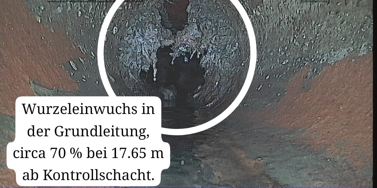Kamerabild aus einer Grundleitung mit Wurzeleinwuchs, der den Querschnitt zu etwa 70 Prozent verschlie&szlig;t, markiert bei 17,65 Metern